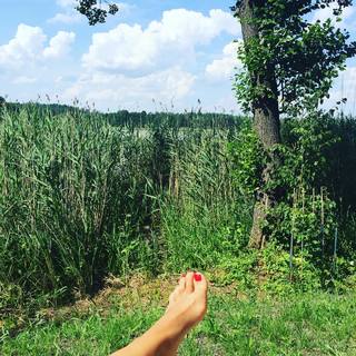 Karolina Szostak feet photo 14