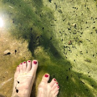 Karoline Schuch feet photo 7