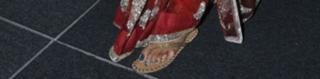 Karthika Nair feet photo 19