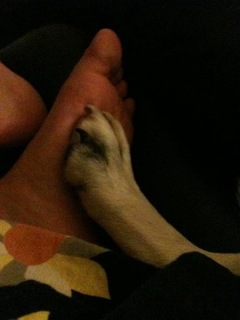 Kat Ginsburg feet photo thumbnail