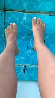 Katarzyna Cichopek feet photo thumbnail