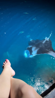 Katarzyna Cichopek feet photo thumbnail