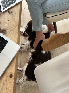 Katarzyna Tusk feet photo thumbnail