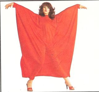 Kate Bush feet photo thumbnail