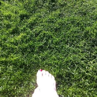 Kate Nash feet photo 18