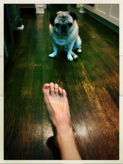 Katee Sackhoff feet photo thumbnail