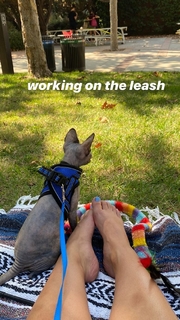 Katelyn Ohashi feet photo thumbnail