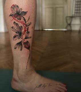 Katerina Hrachovcová feet photo 2