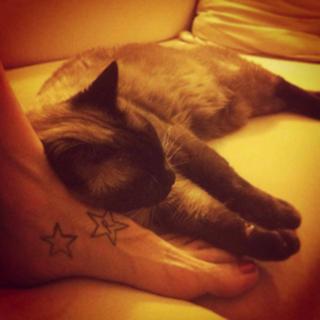 Katerina Tsavalou feet photo 13