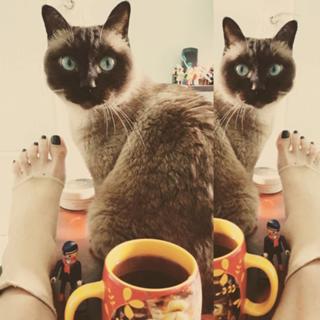 Katerina Tsavalou feet photo 17