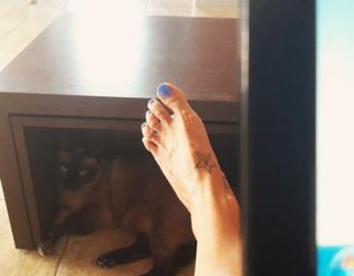 Katerina Tsavalou feet photo 4