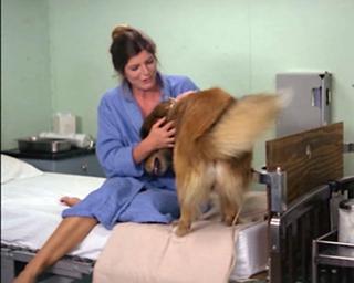 Katharine Ross feet photo 2