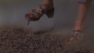 Katharine Towne feet photo 7