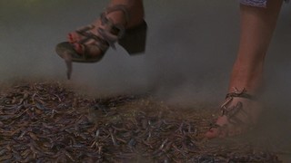 Katharine Towne feet photo 1