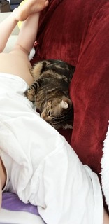 Katherine Gunn feet photo 6