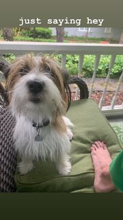 Katherine LaNasa feet photo thumbnail