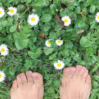Katherine Porto feet photo 7