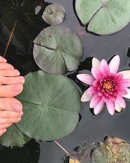 Katherine Porto feet photo 10