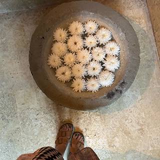 Katherine Porto feet photo 19
