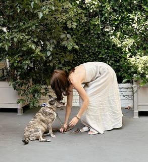 Katherine Schwarzenegger feet photo thumbnail