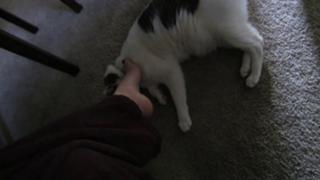 Kathleen Elliott feet photo 1