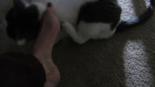 Kathleen Elliott feet photo 2
