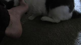 Kathleen Elliott feet photo 3