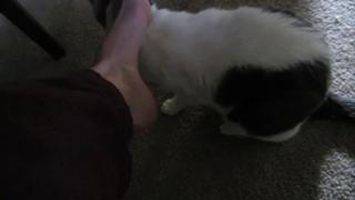 Kathleen Elliott feet photo 18