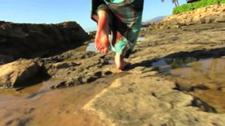 Kathleen Elliott feet photo 18
