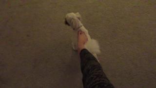 Kathleen Elliott feet photo 16