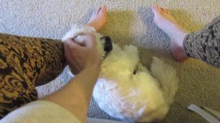 Kathleen Elliott feet photo 8