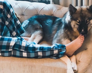 Kathryn Bernardo feet photo thumbnail