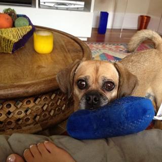 Kathryn Budig feet photo 1