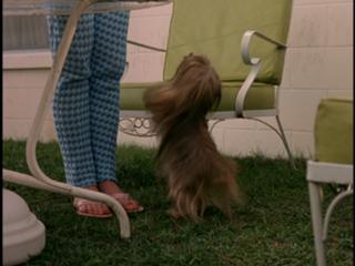 Kathy Baker feet photo 15