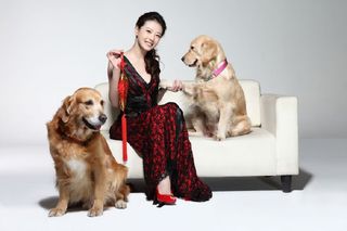 Kathy Chow feet photo 12