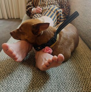 Kathy Griffin feet photo 1
