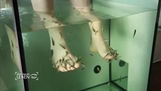 Kathy Weber feet photo 15