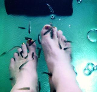 Kathy Weber feet photo 11
