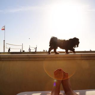 Katie Austin feet photo thumbnail