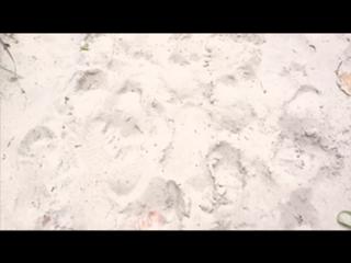 Katie Carmona feet photo thumbnail