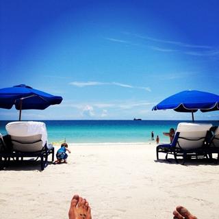 Katie Cassidy feet photo thumbnail
