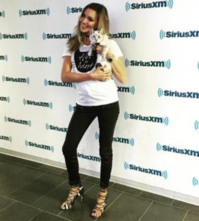 Katie Cassidy feet photo thumbnail