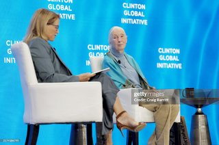 Katie Couric feet photo thumbnail