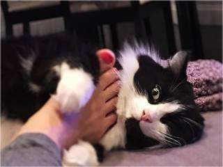 Katie Featherston feet photo thumbnail