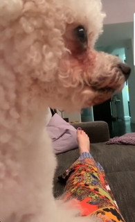 Katie Featherston feet photo thumbnail