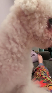 Katie Featherston feet photo thumbnail