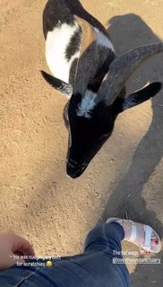 Katie Sarife feet photo 7