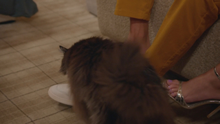 Katie Thurston feet photo 9