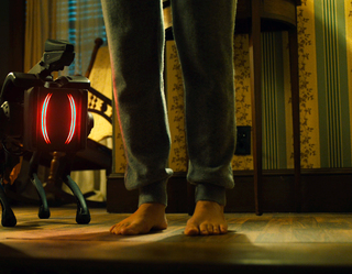 Katja Herbers feet photo thumbnail