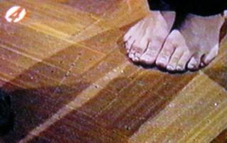 Katja Schuurman feet photo 14
